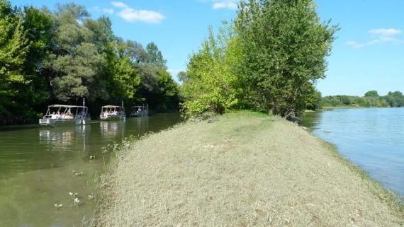 Bateaux